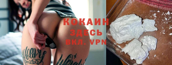 прущие грибы Волоколамск
