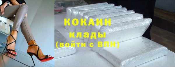 прущие грибы Волоколамск