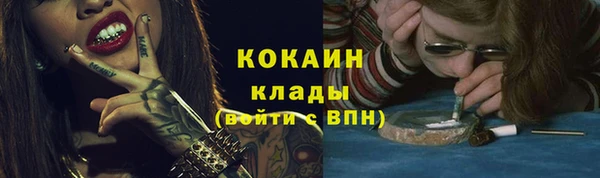 прущие грибы Волоколамск