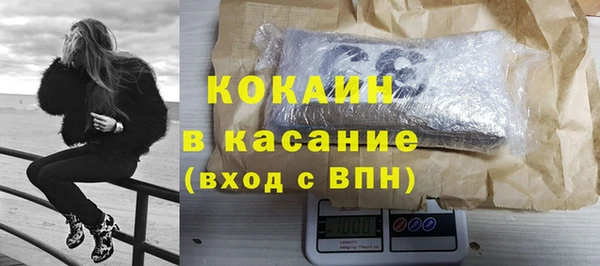 прущие грибы Волоколамск