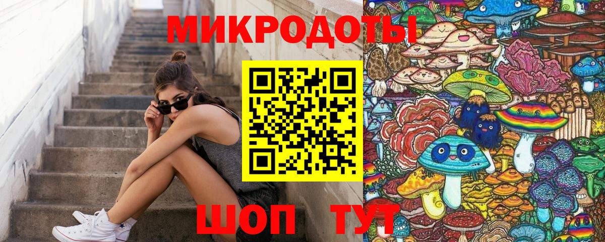 Псилоцибиновые грибы Psilocybine cubensis Славянск-на-Кубани